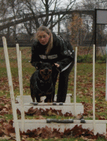 /album/flyball/img-2021-gif/