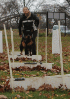 /album/flyball/img-2023-gif/